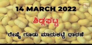 Sidlaghatta silk Cocoon Market Rate Today