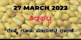 Sidlaghatta silk Cocoon Market Rate Today