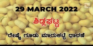 Sidlaghatta silk Cocoon Market Rate Today