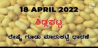 Sidlaghatta silk Cocoon Market Rate Today