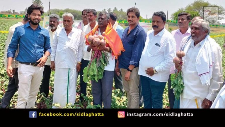 Sidlaghatta Anemadugu Best Quality Beetroot Farmer Felicitation