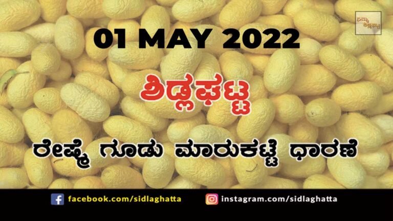 Sidlaghatta silk Cocoon Market Rate Today