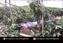 Sidlaghatta Rain Crop Loss