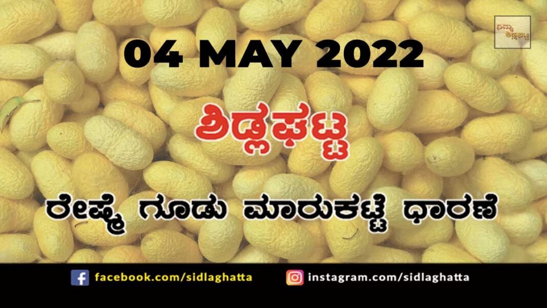 04MaySD01 Sidlaghatta silk Cocoon Market Rate Today