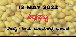Sidlaghatta silk Cocoon Market Rate Today