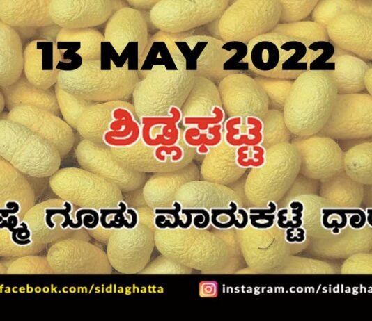 Sidlaghatta silk Cocoon Market Rate Today