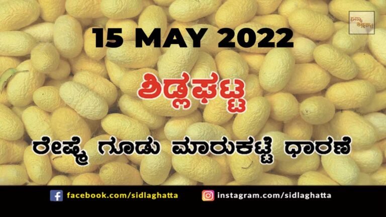 Sidlaghatta silk Cocoon Market Rate Today