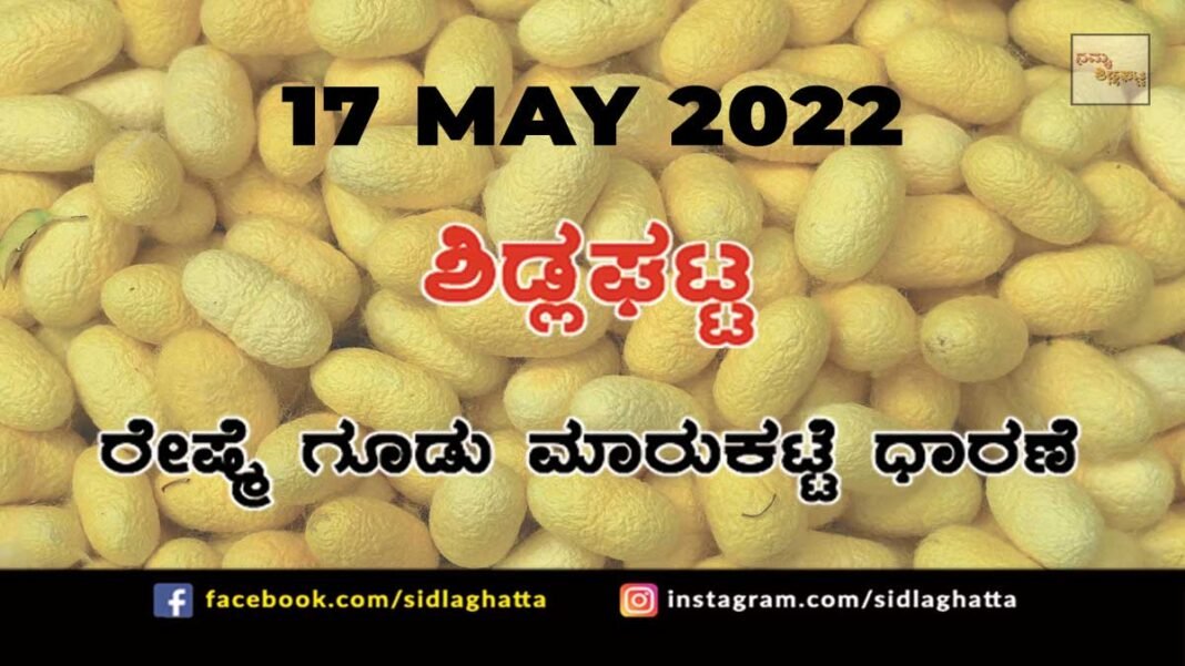 Sidlaghatta silk Cocoon Market Rate Today