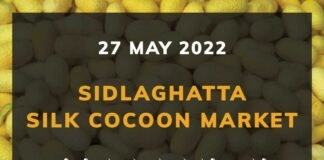 Sidlaghatta silk Cocoon Market Rate Today