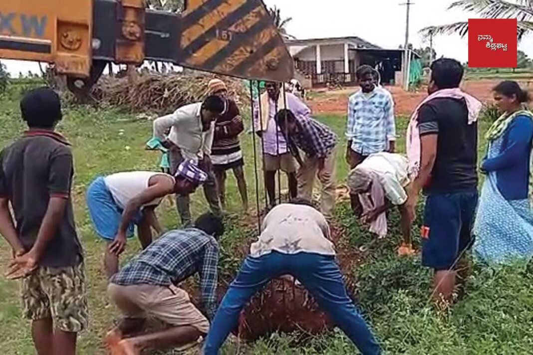 Sidlaghatta Seegehalli Cow Rescue