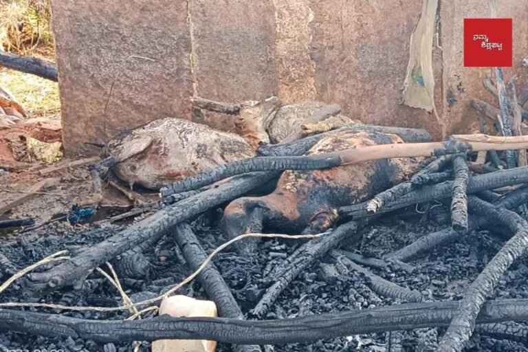 Y Hunasenahalli, Sidlaghatta Thunderbolt Livestock Death