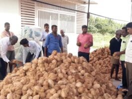 Kalanayakanahalli Coconut Market