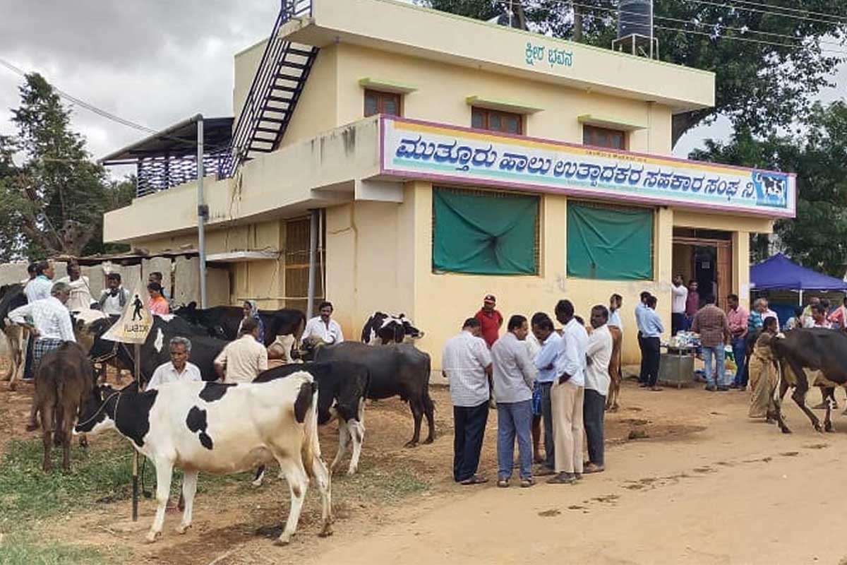 Sidlaghatta Mallur Veterinary Camp