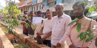 Tree Planting Sidlaghatta