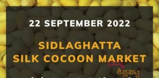 Sidlaghatta Silk Cocoon Market Price Rate ಶಿಡ್ಲಘಟ್ಟ ರೇಷ್ಮೆ ಗೂಡು ಮಾರುಕಟ್ಟೆ ಧಾರಣೆ