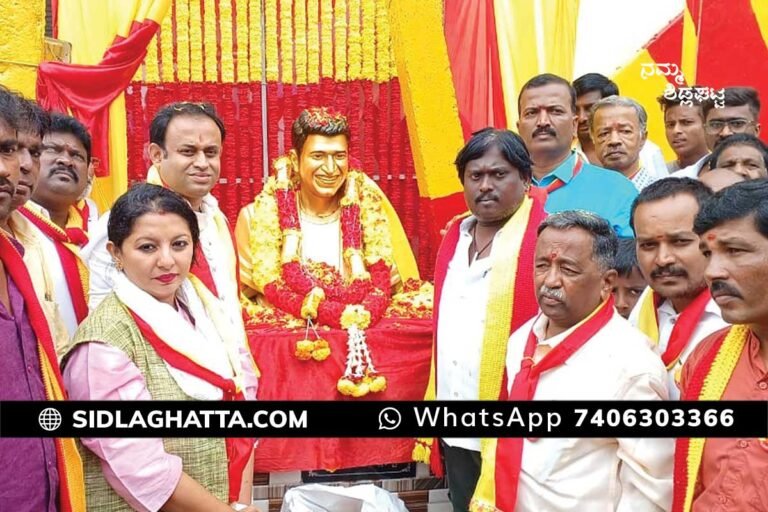 Puneeth Rajkumar Circle Sidlaghatta