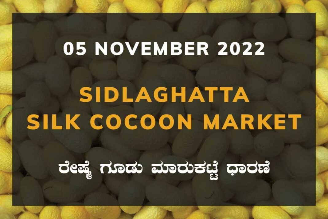05NovtKa02a Sidlaghatta Silk Cocoon Market Price Rate ಶಿಡ್ಲಘಟ್ಟ ರೇಷ್ಮೆ ಗೂಡು ಮಾರುಕಟ್ಟೆ ಧಾರಣೆ