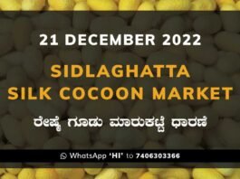 Sidlaghatta Silk Cocoon Market Price Rate ಶಿಡ್ಲಘಟ್ಟ ರೇಷ್ಮೆ ಗೂಡು ಮಾರುಕಟ್ಟೆ ಧಾರಣೆ