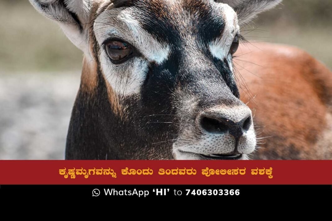 Sidlaghatta Poolakuntlahalli Blackbuck hunters arrest