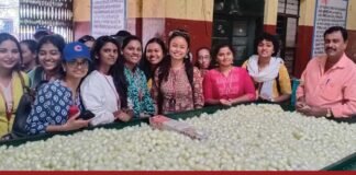 Mount carmel college cocoon market