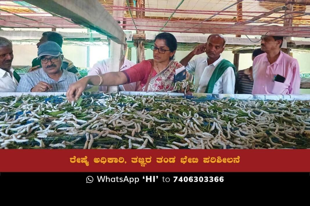 Silk Department Officials and Scientists Investigate Silkworm Maturity Issue in Kannamangala Sidlaghatta