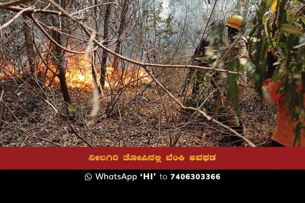 A fire broke out in the Government Nilgiri grove, causing significant damage to the forest area. Efforts must be made to prevent such accidents in the future and to protect our environment.