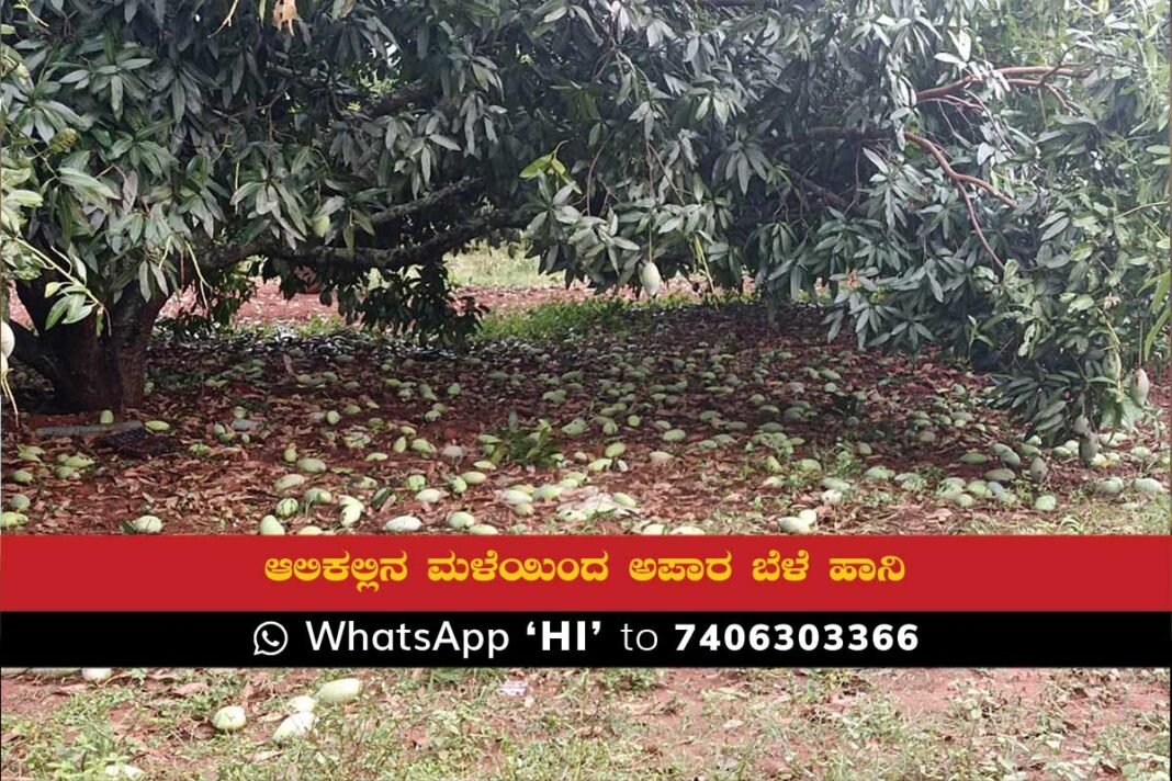 Sidlaghatta Rain Hailstorm croploss