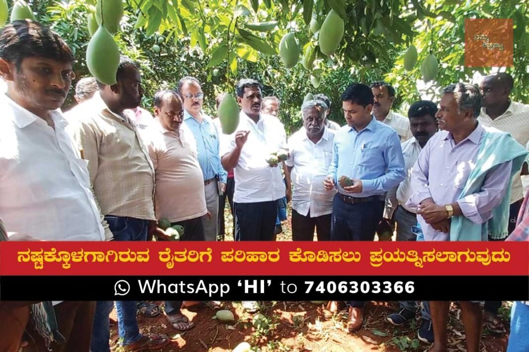 MLA B N Ravikumar rain crop loss assessment