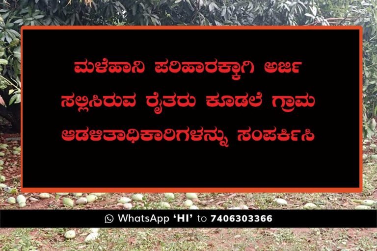 Rain Affected Farmers contact local administration