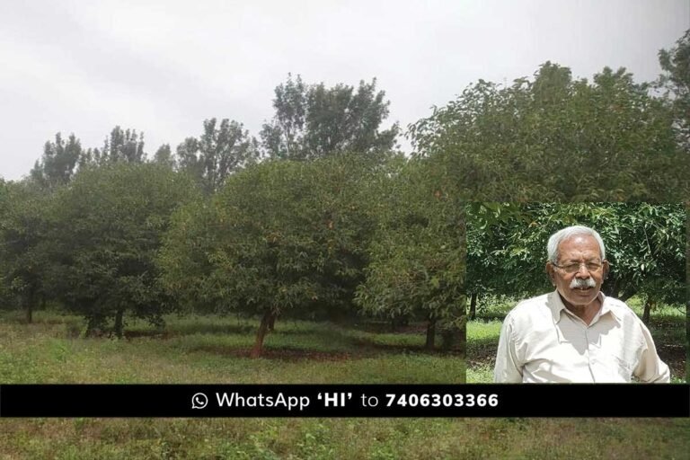 Sidlaghatta Veerapura fruitless trees
