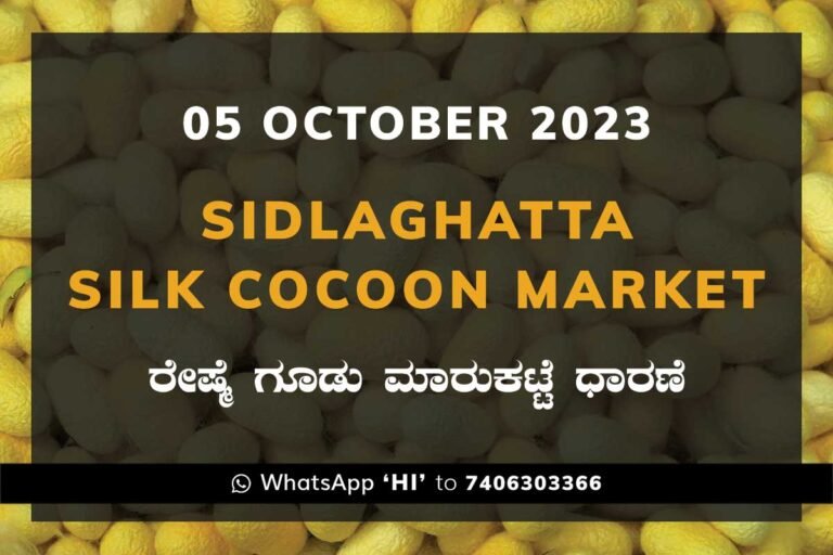 Sidlaghatta Silk Cocoon Market Price Rate ಶಿಡ್ಲಘಟ್ಟ ರೇಷ್ಮೆ ಗೂಡು ಮಾರುಕಟ್ಟೆ ಧಾರಣೆ