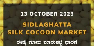 Sidlaghatta Silk Cocoon Market Price Rate ಶಿಡ್ಲಘಟ್ಟ ರೇಷ್ಮೆ ಗೂಡು ಮಾರುಕಟ್ಟೆ ಧಾರಣೆ
