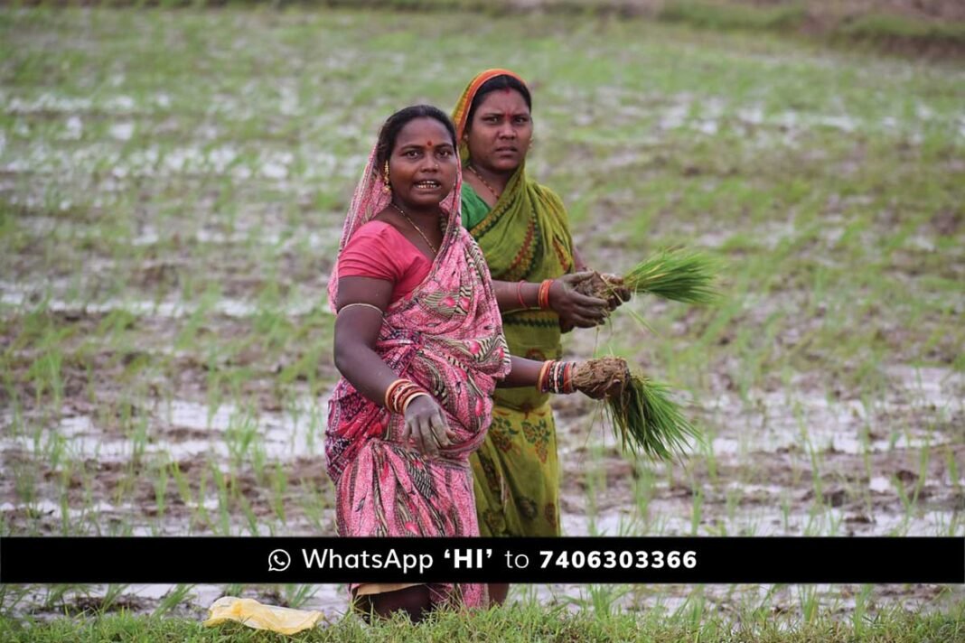 Farmers FRUITS ID Compusory