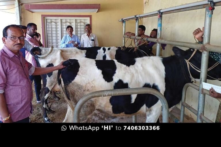 Free Veterinary Camp