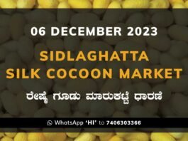 Sidlaghatta Silk Cocoon Market Price Rate ಶಿಡ್ಲಘಟ್ಟ ರೇಷ್ಮೆ ಗೂಡು ಮಾರುಕಟ್ಟೆ ಧಾರಣೆ