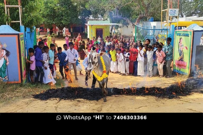 Gowdanhalli Government School Sankranti Celebration