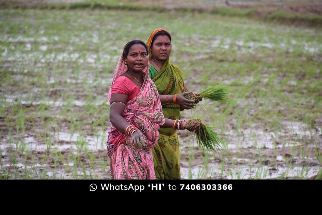 PLD Bank Farmer Loan Interest Waiver