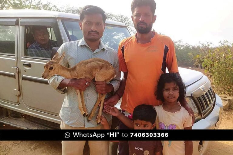 Sidlaghatta Blackbuck Rescue
