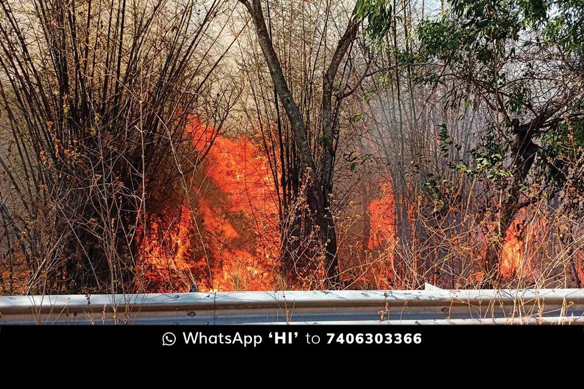 Sidlaghatta Wild Fire