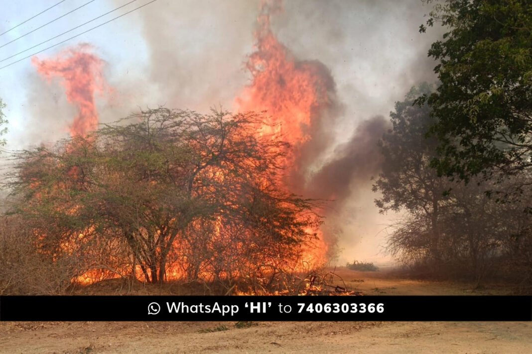 Sidlaghatta Chikkatekahalli Forest Fire