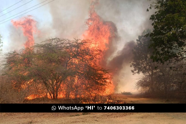 Sidlaghatta Chikkatekahalli Forest Fire