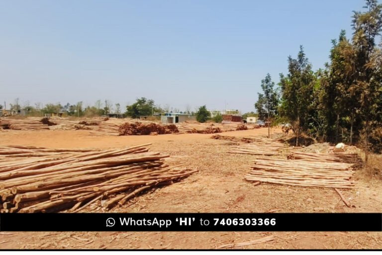 Sidlaghatta Hanumantapura Government Land Encroachment