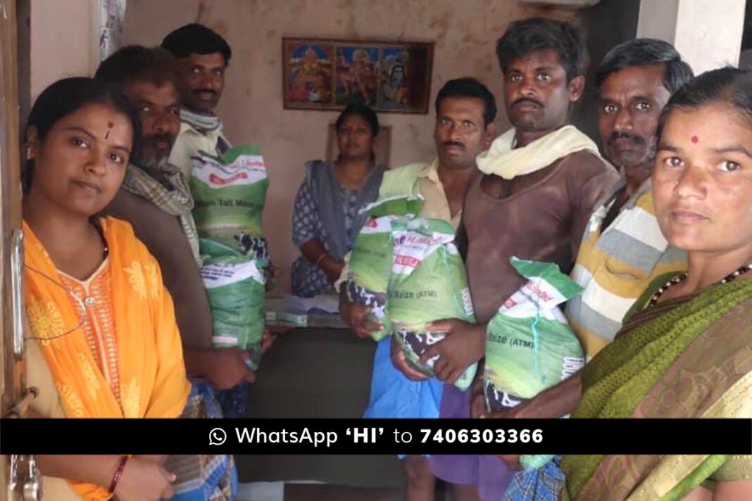 Sidlaghatta Animal Husbandry Department Maize kit Distribution