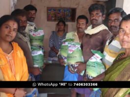 Sidlaghatta Animal Husbandry Department Maize kit Distribution