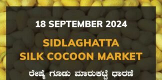 Sidlaghatta Silk Cocoon Market Price Rate ಶಿಡ್ಲಘಟ್ಟ ರೇಷ್ಮೆ ಗೂಡು ಮಾರುಕಟ್ಟೆ ಧಾರಣೆ