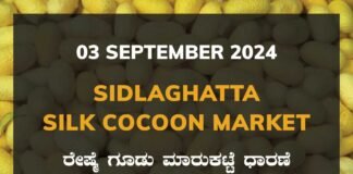 Sidlaghatta Silk Cocoon Market Price Rate ಶಿಡ್ಲಘಟ್ಟ ರೇಷ್ಮೆ ಗೂಡು ಮಾರುಕಟ್ಟೆ ಧಾರಣೆ
