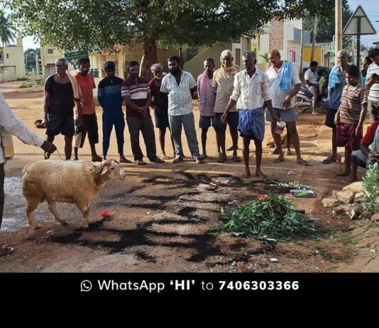 Rain diety Atte Male Pooja Village Native Culture