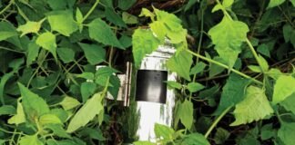 Sidlaghatta Kateramma Temple Gold silver Jewellery Theft