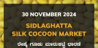 Sidlaghatta Silk Cocoon Market Price Rate ಶಿಡ್ಲಘಟ್ಟ ರೇಷ್ಮೆ ಗೂಡು ಮಾರುಕಟ್ಟೆ ಧಾರಣೆ