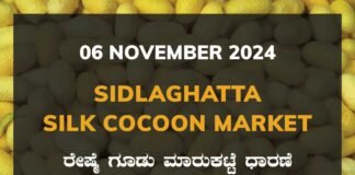 Sidlaghatta Silk Cocoon Market Price Rate ಶಿಡ್ಲಘಟ್ಟ ರೇಷ್ಮೆ ಗೂಡು ಮಾರುಕಟ್ಟೆ ಧಾರಣೆ